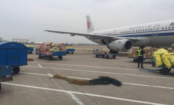 b_3964783_201703301859536131_副本