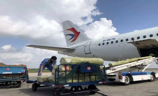 1-20031323102LP_副本 1-20031323102LP_副本