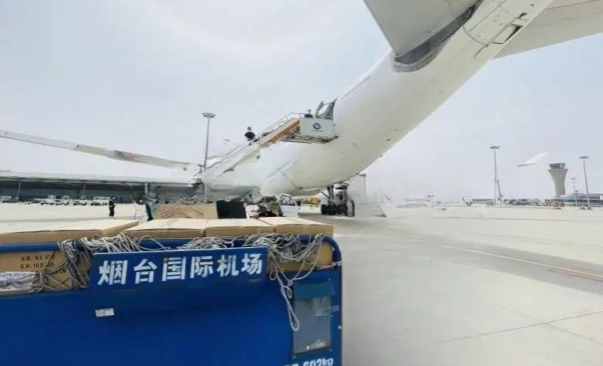 u=984416372,2800159377&fm=253&fmt=auto&app=138&f=JPEG_副本