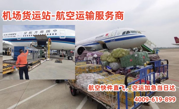 微信圖片_202304041552538_副本.jpg 微信圖片_202304041552538_副本.jpg