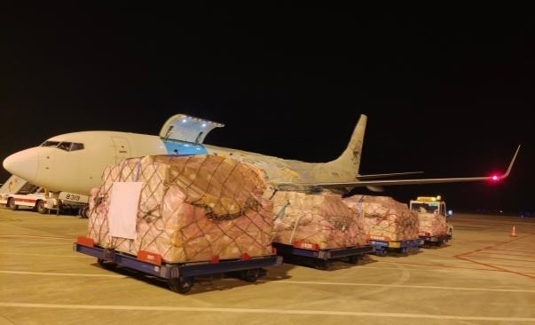 4ff6924c-d972-4396-917d-80b5c1d7e653 (1)_副本 4ff6924c-d972-4396-917d-80b5c1d7e653 (1)_副本