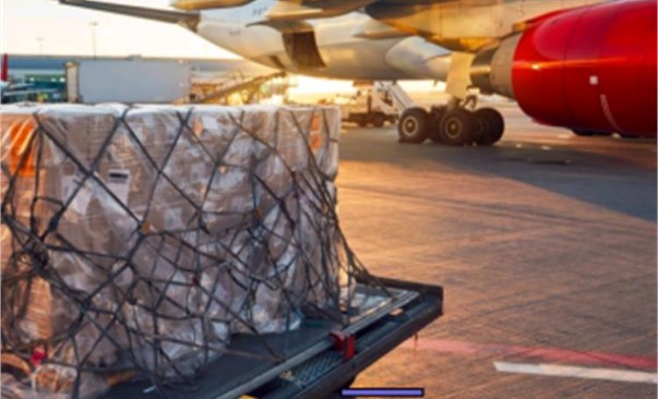 202305191038406288084_副本