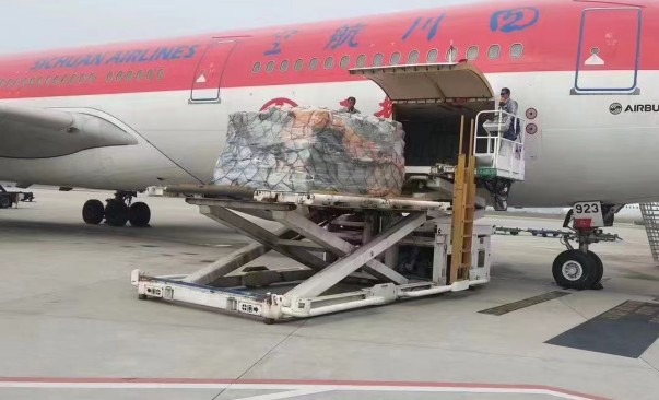 微信圖片_20230515224225_副本 微信圖片_20230515224225_副本