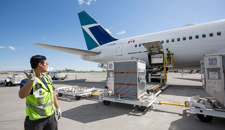 上海海鮮空運(yùn)公司