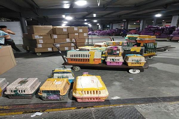 西安機(jī)場(chǎng)快遞公司